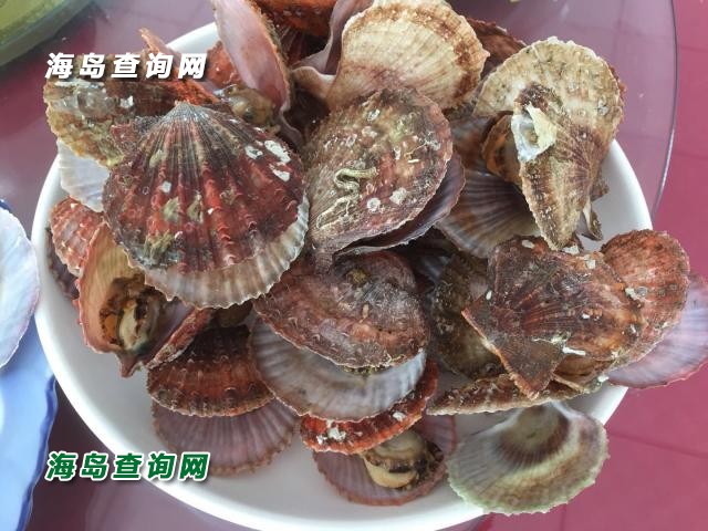 东戴河金海佳园  