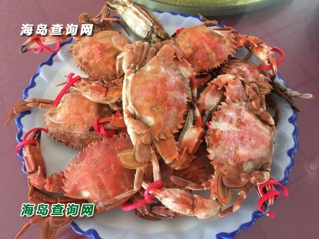 东戴河金海佳园  