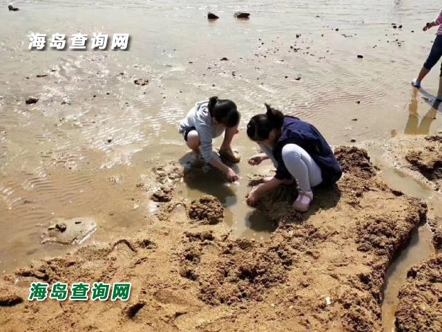 东戴河海军渔家院  