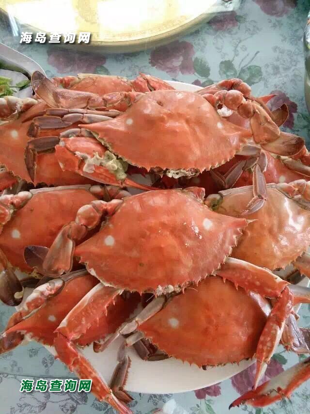 东戴河隆源农家  