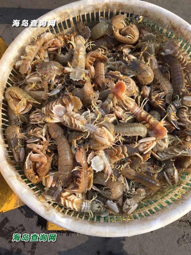 东戴河隆源农家  