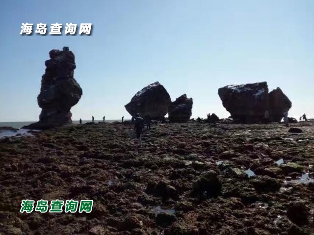 东戴河隆源农家  