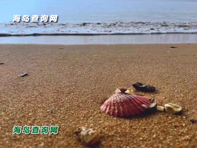 东戴河隆源农家  