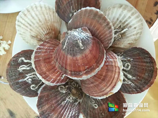 东戴河小康农家院 