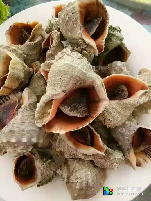 东戴河小康农家院 