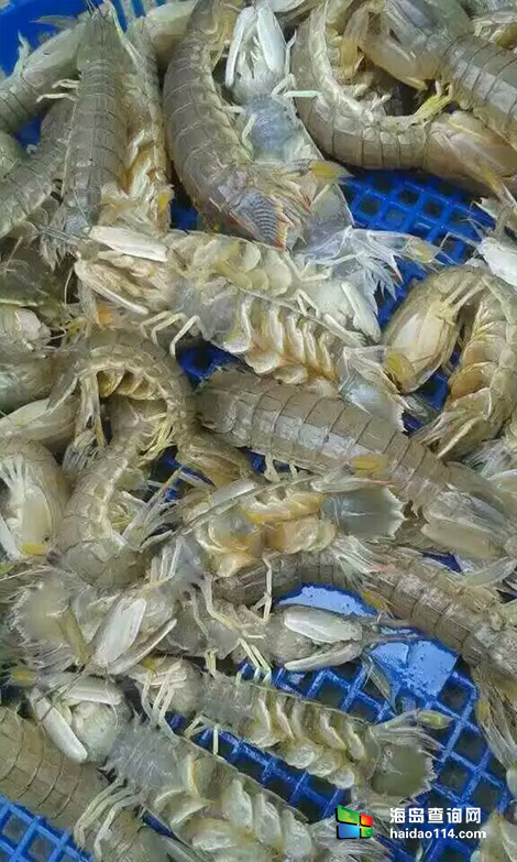 东戴河小康农家院 