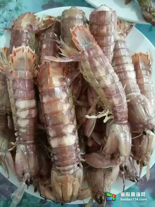 东戴河小康农家院 