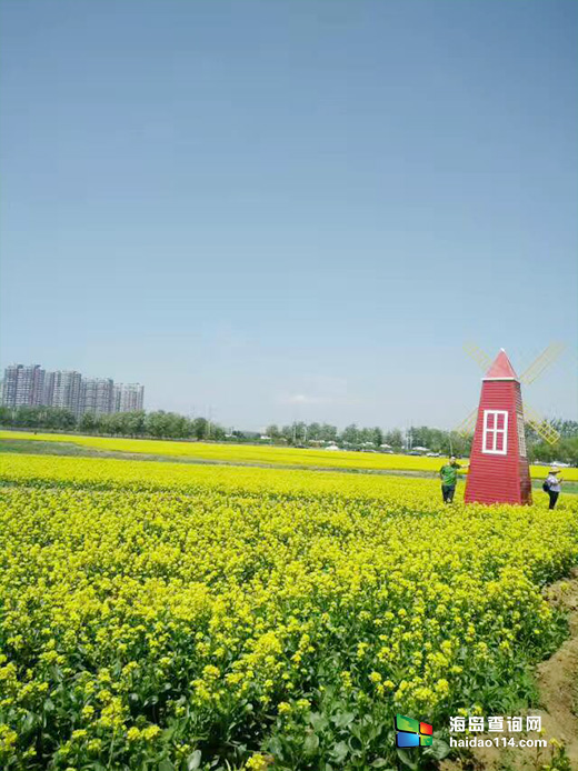 东戴河小康农家院 
