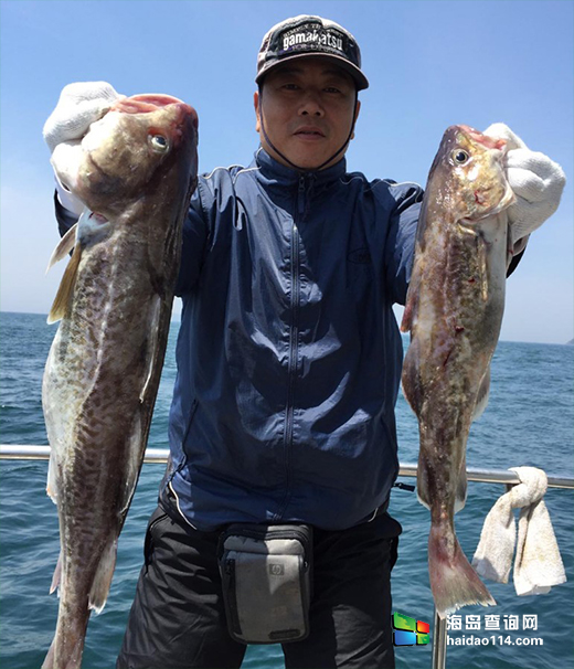 大连獐子岛海钓钓场位置和海鱼品种