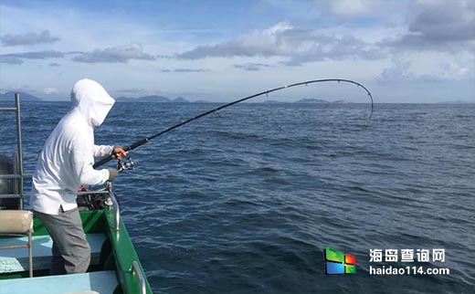 大连獐子岛海钓钓场位置和海鱼品种