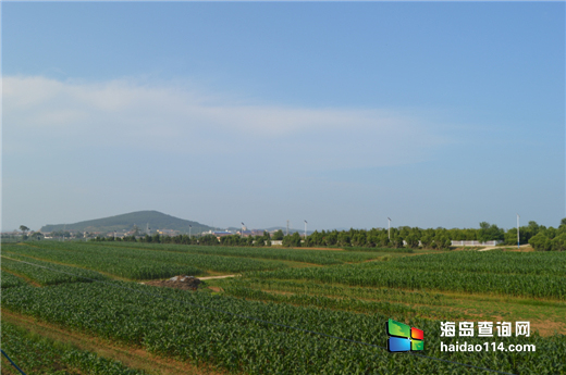 广鹿岛鑫佳缘渔家院