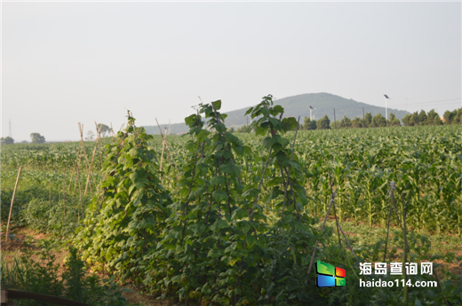 广鹿岛鑫佳缘渔家院