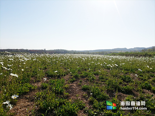 广鹿岛渔人部落度假村