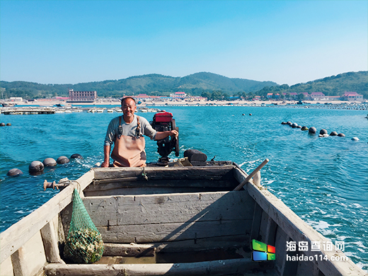 哈仙岛海景渔家院