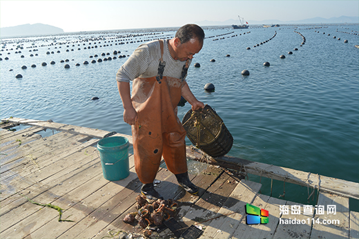 哈仙岛海景渔家院