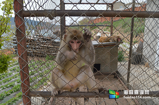 獐子岛玉江渔家院