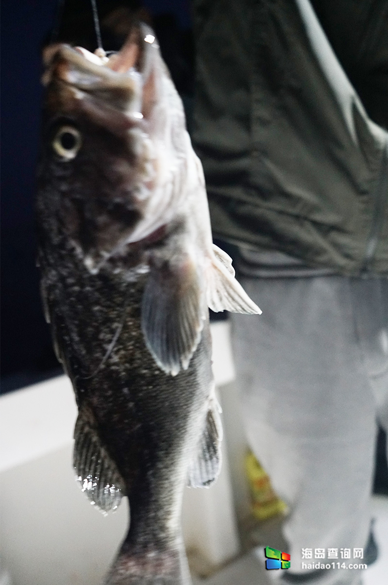 獐子岛尹海渔家