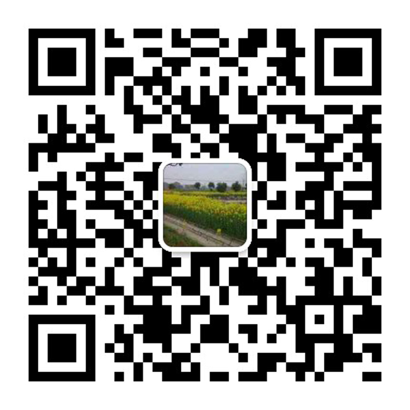 獐子岛有洋红民宿微信二维码 獐子岛有洋红民宿微信二维码