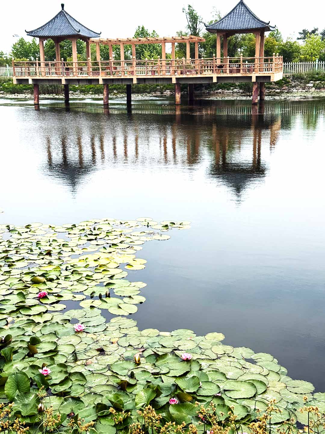 大长山岛南苑酒店