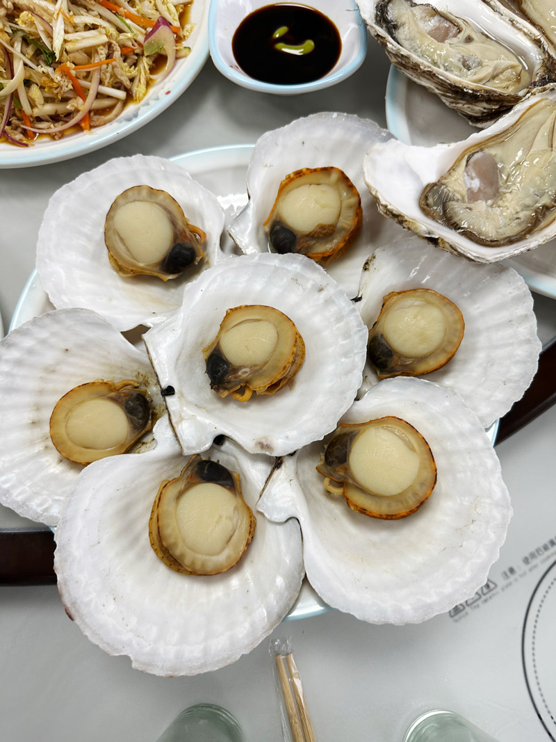 獐子岛东橙海钓民宿