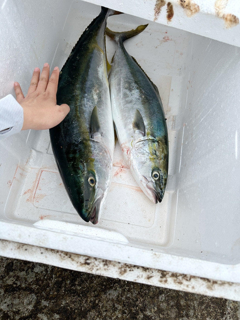 獐子岛东橙海钓民宿