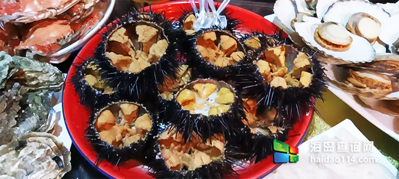 獐子岛英枝民宿