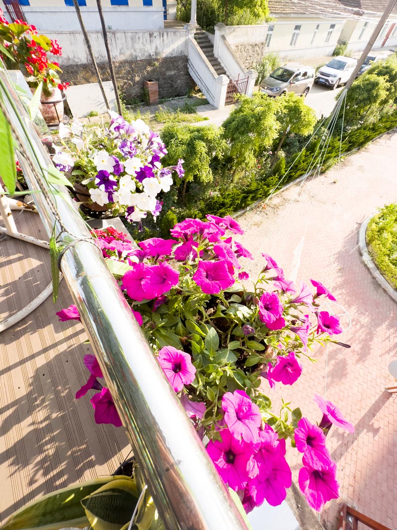 獐子岛英枝民宿