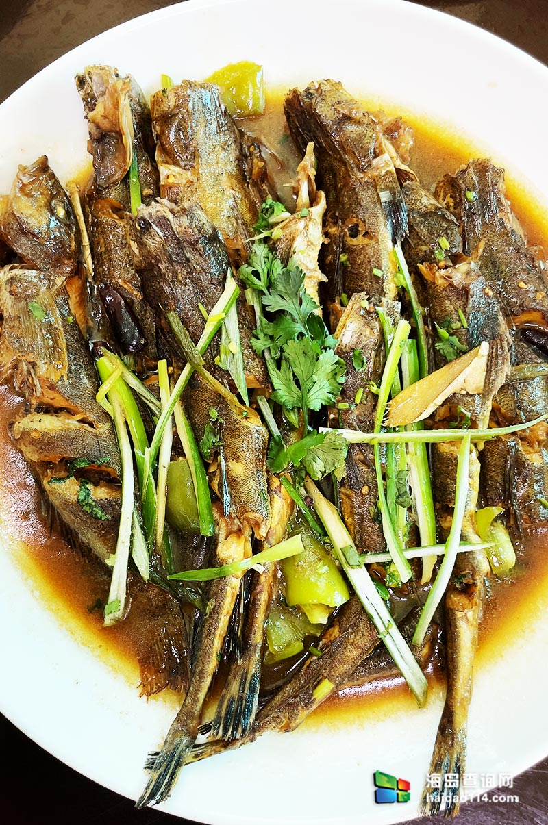 獐子岛英枝民宿