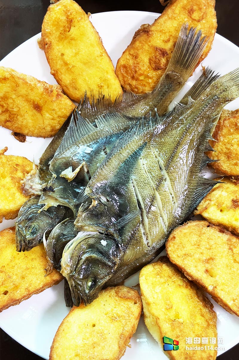 獐子岛英枝民宿