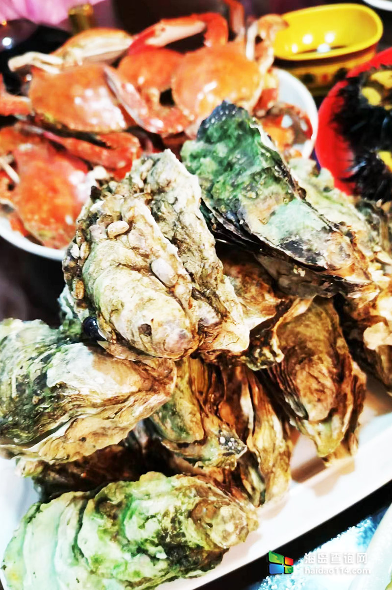 獐子岛英枝民宿