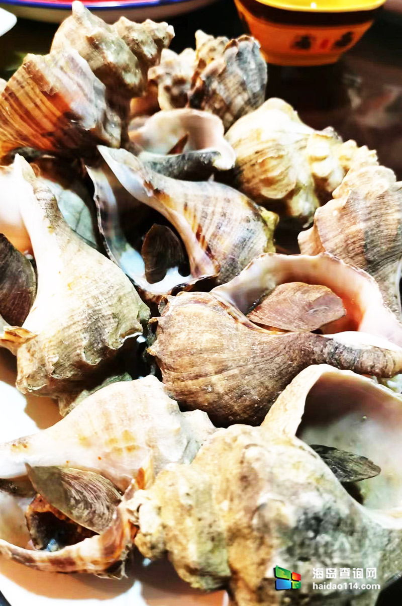 獐子岛英枝民宿