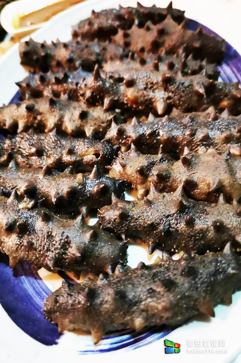 獐子岛英枝民宿