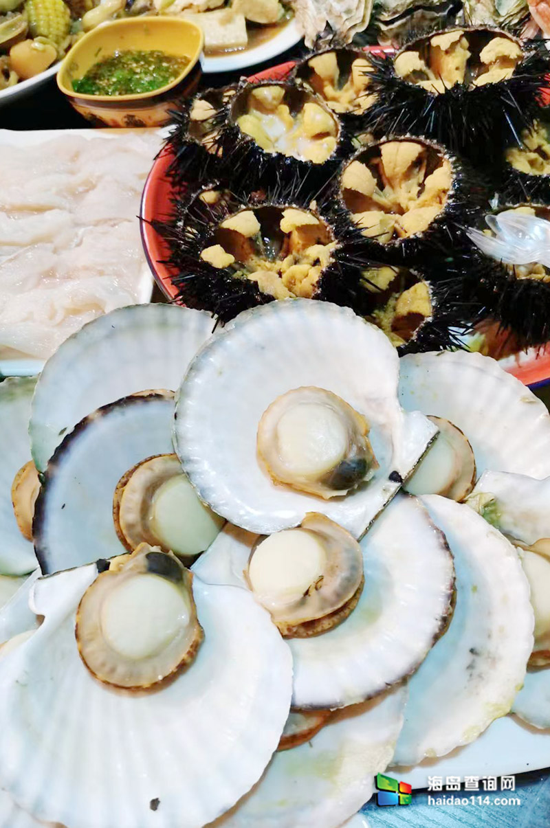 獐子岛英枝民宿