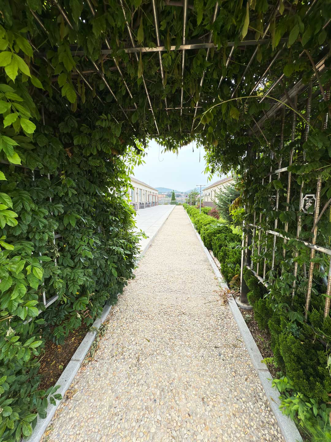 小长山岛经典假日酒店